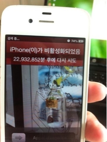 비조카 이미지