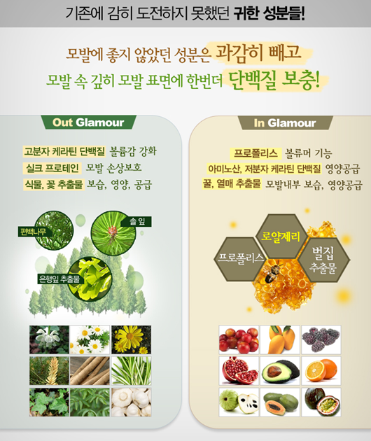 허니블룸 이미지