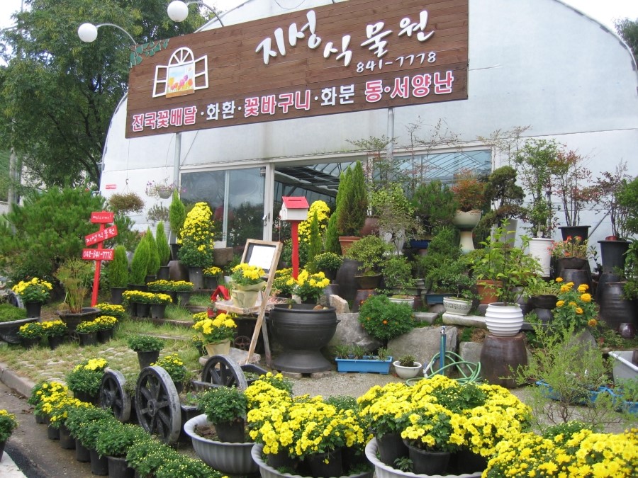 지성꽃식물원 이미지