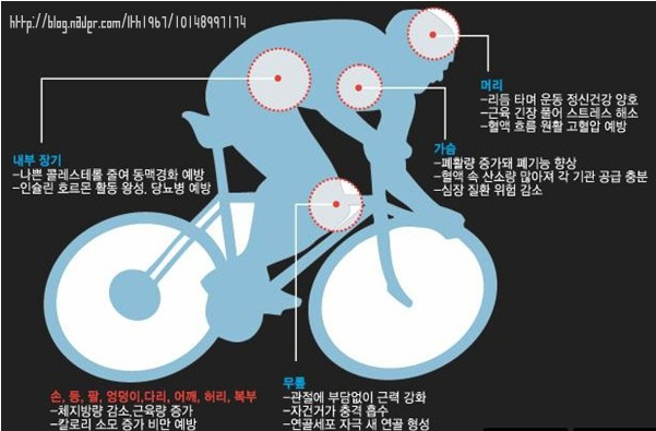 자전거할인마트 이미지