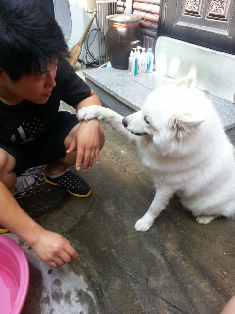 몽실이 이미지