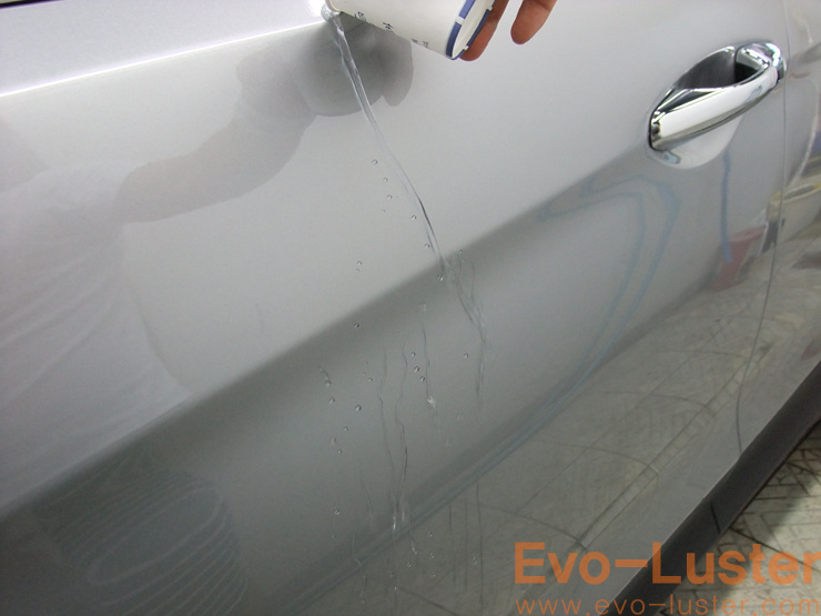 Evo-Luster 이미지