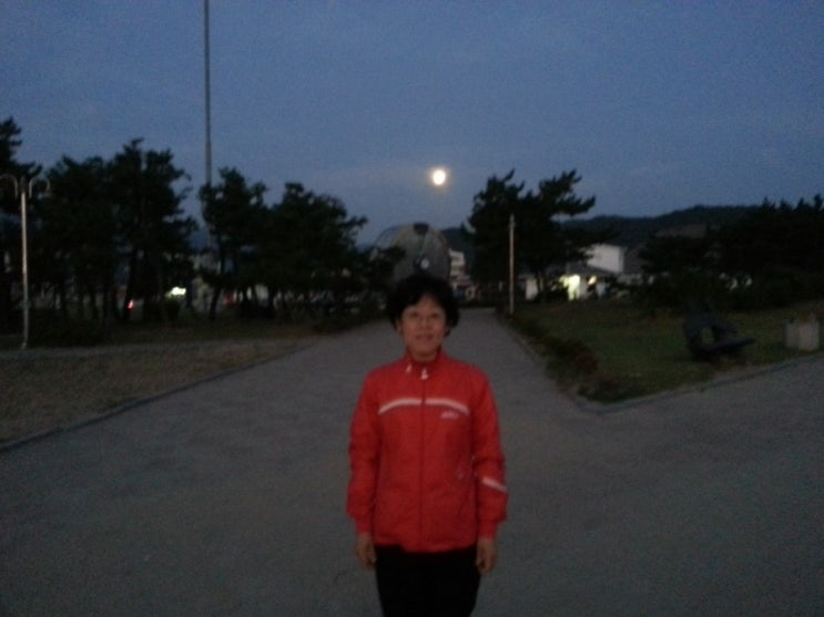 싱글벙글여행사 이미지
