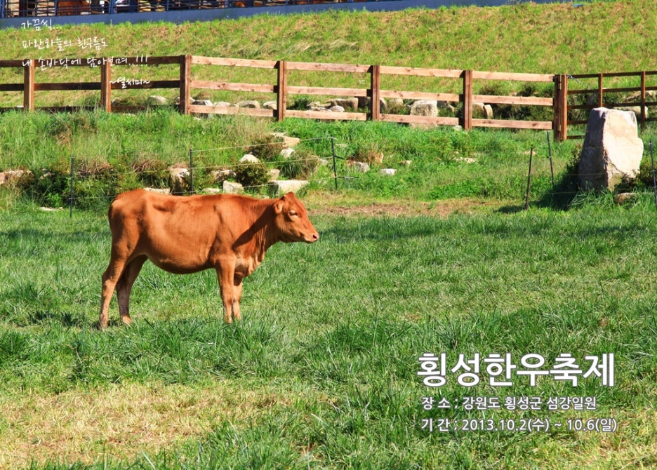 횡성한우 이미지