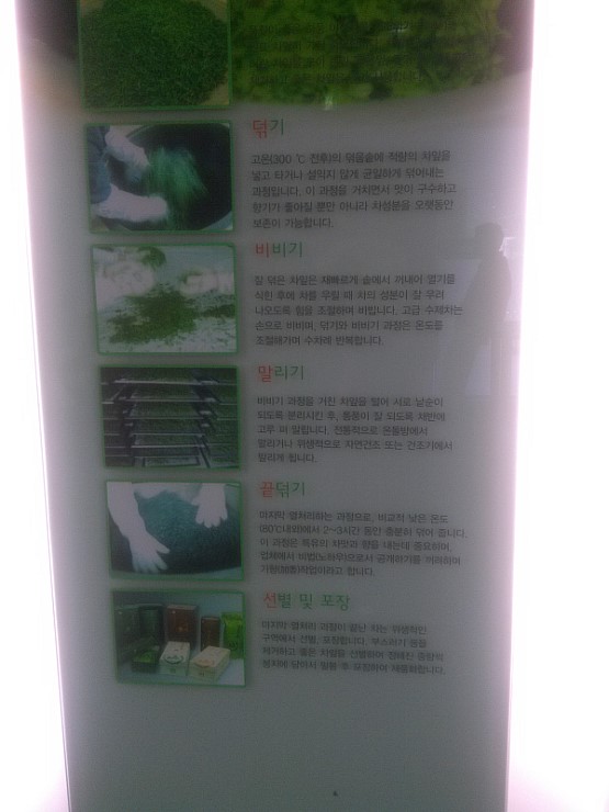 하동약초 이미지