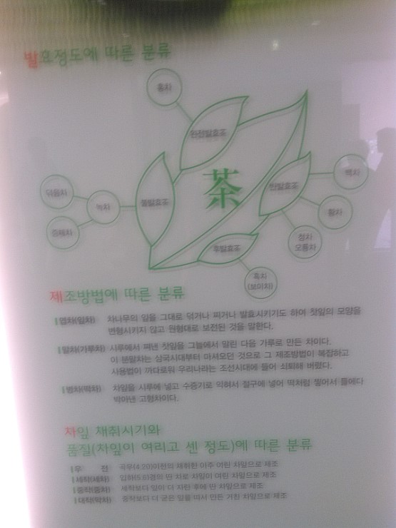 하동약초 이미지