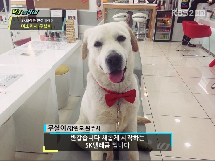 한성텔레콤 이미지