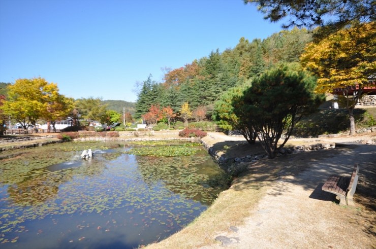 지지베 이미지