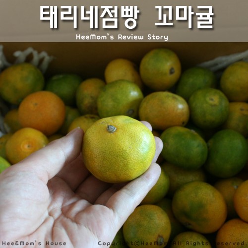 과일점빵 이미지