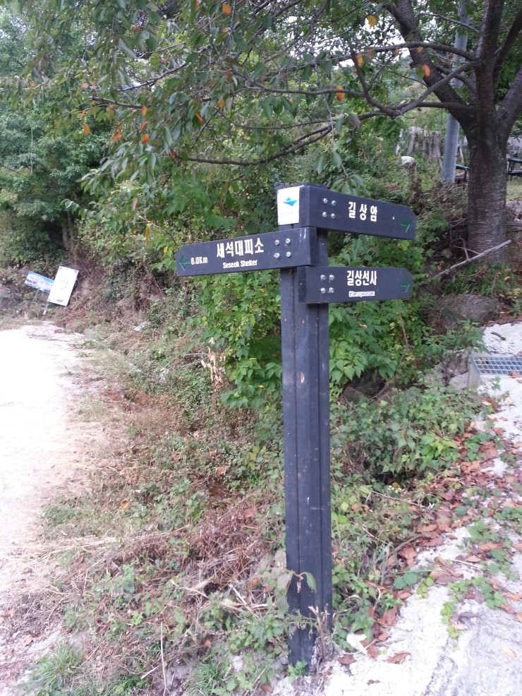 지리산흑도야지 이미지