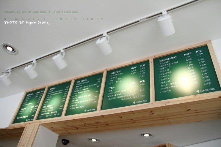 커피트리(COFFEE TREE) 이미지