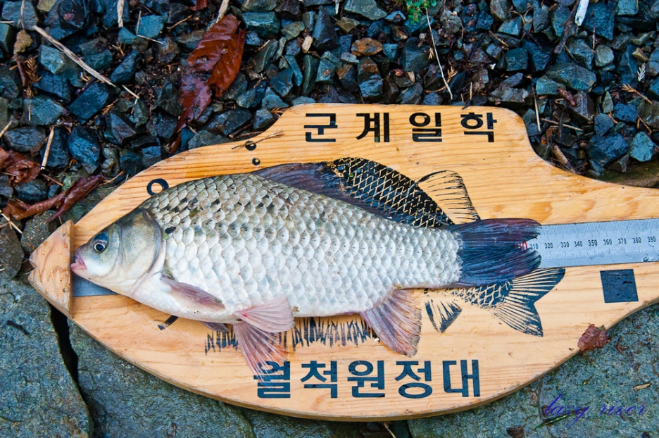인평 이미지