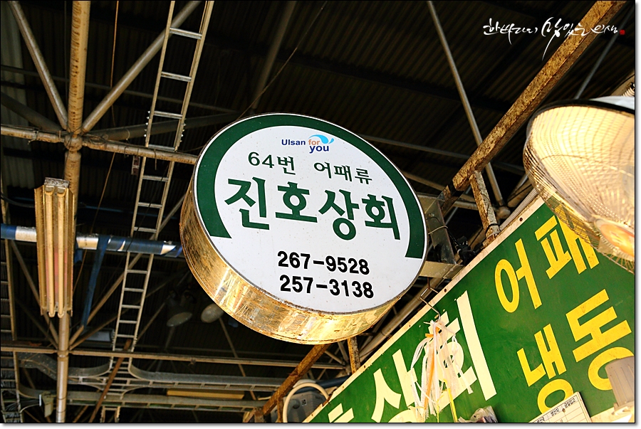 진호상회 이미지