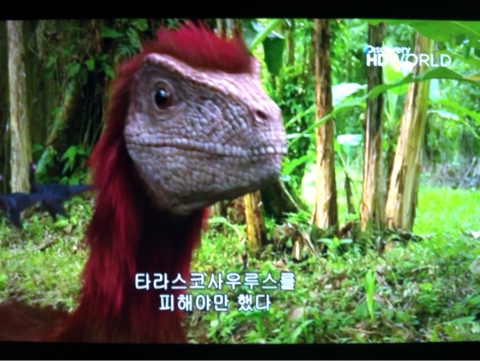 랩터 이미지