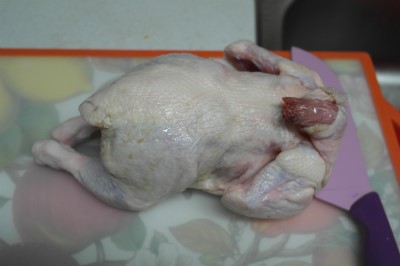 사계원 이미지