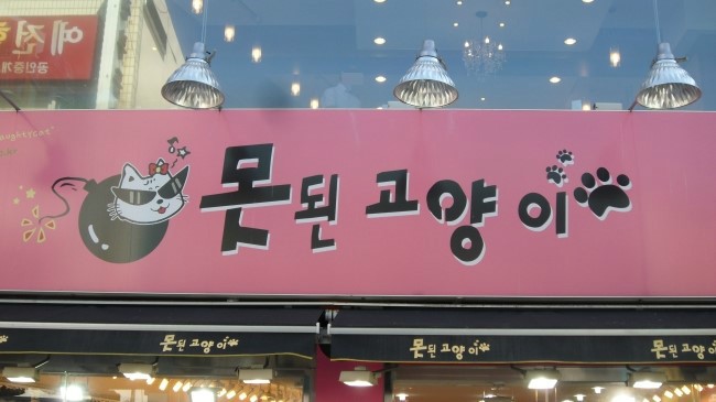 못된고양이 이미지
