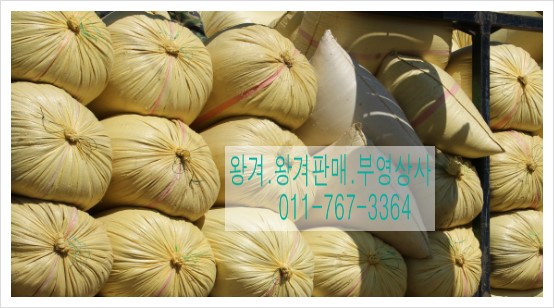 부영상사 이미지