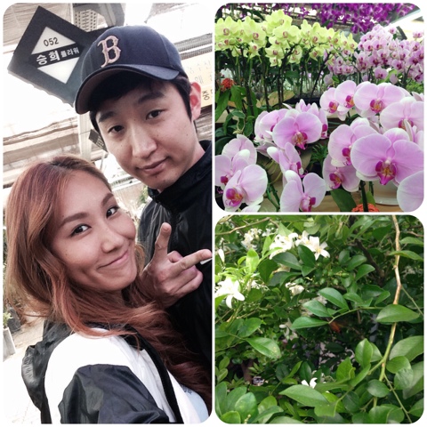 승희플라워 이미지