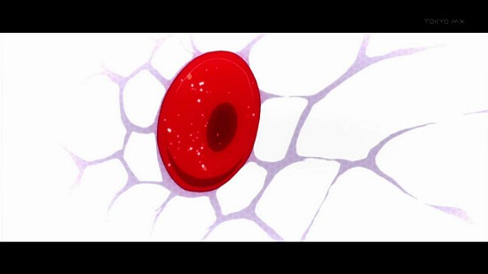 오토리 이미지