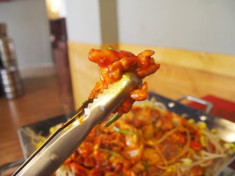 콩닭콩닭 이미지