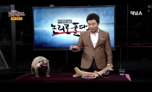 오소리스튜디오 이미지