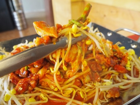 콩닭콩닭 이미지