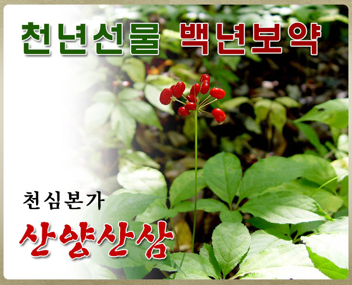 천삼영농조합법인 이미지