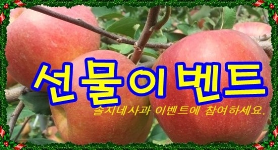 솔지네 이미지