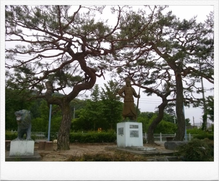 성대초등학교 이미지