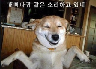꿀먹은강정 이미지