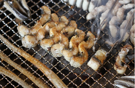 힘이불끈장어 이미지