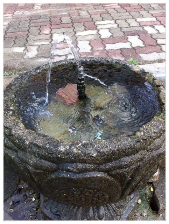 풍기인삼가공원 이미지