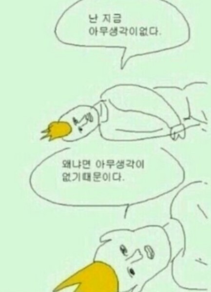 네일비 이미지