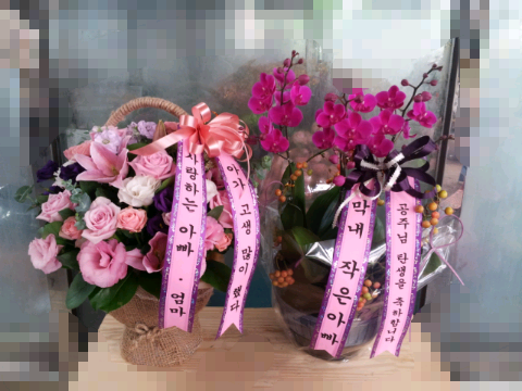 OK식물원 이미지