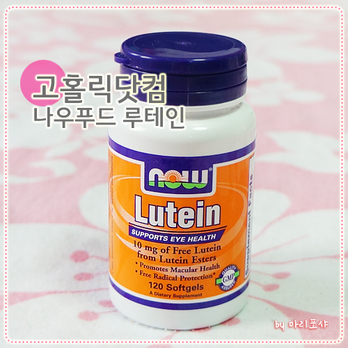 나우홀릭 이미지