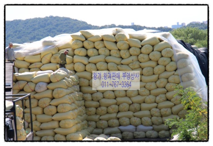 부영상사 이미지
