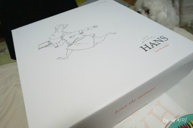 국수나무기흥구청점 이미지