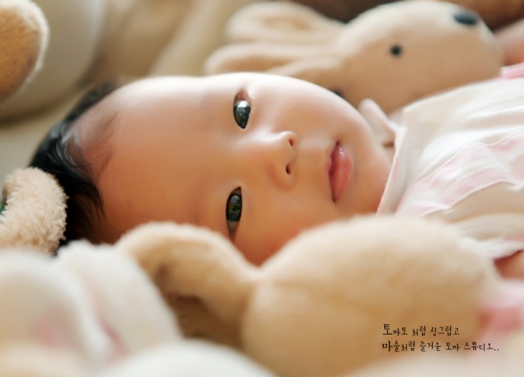 토마스튜디오 이미지