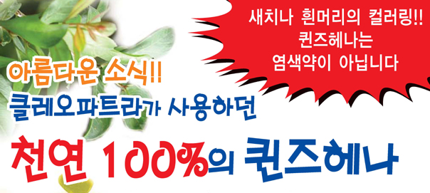 퀸즈헤나교실 이미지