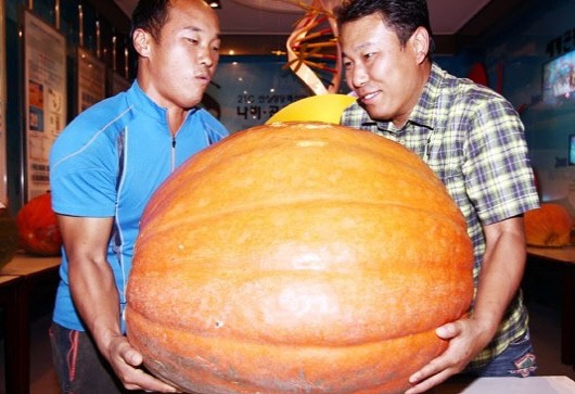 정성슈퍼 이미지