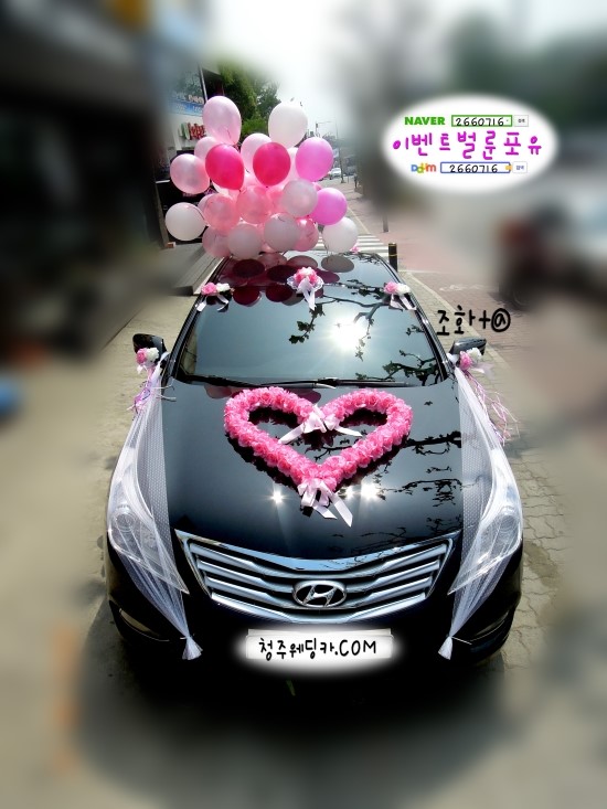 이벤트벌룬포유 이미지