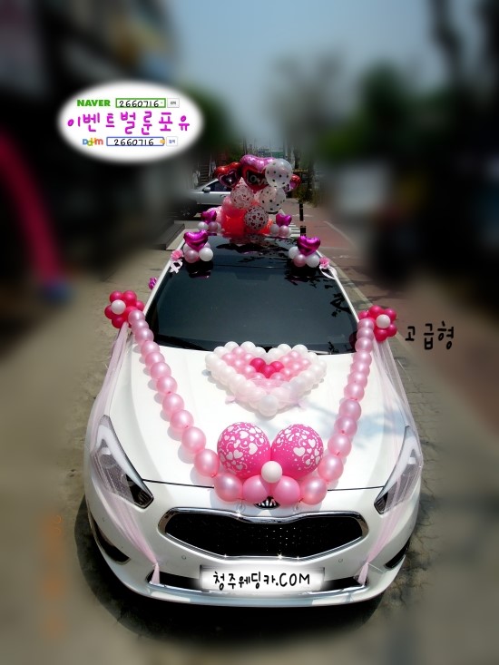 이벤트벌룬포유 이미지