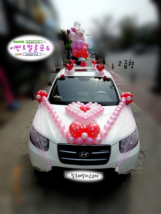 이벤트벌룬포유 이미지