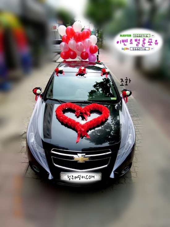 이벤트벌룬포유 이미지