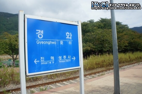 창원슈퍼 이미지