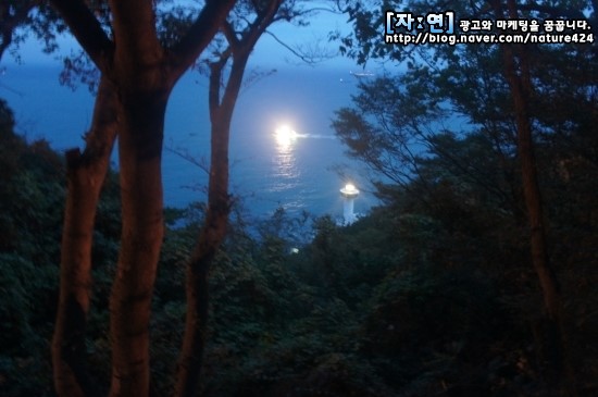 대림슈퍼 이미지