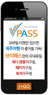 브이비엘 이미지