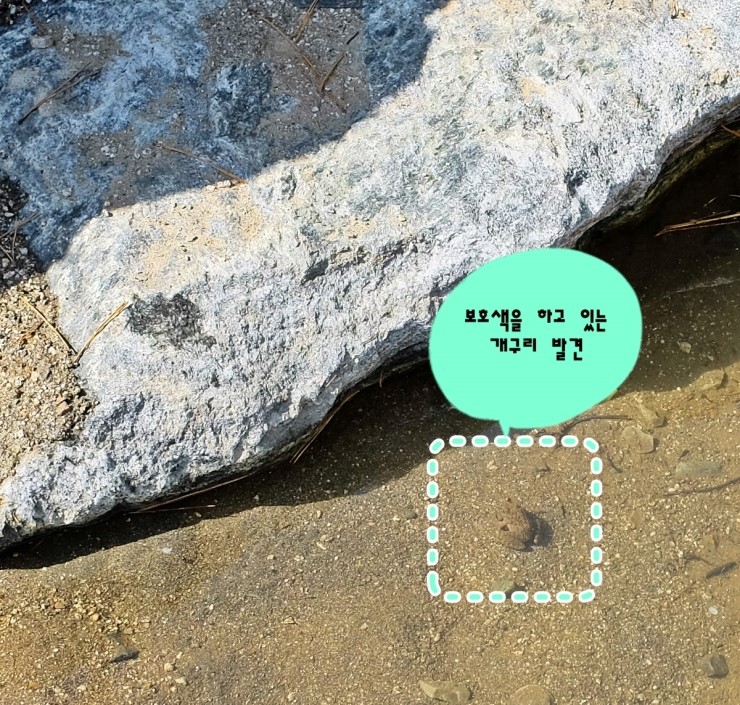 씨앗골캠핑장 이미지