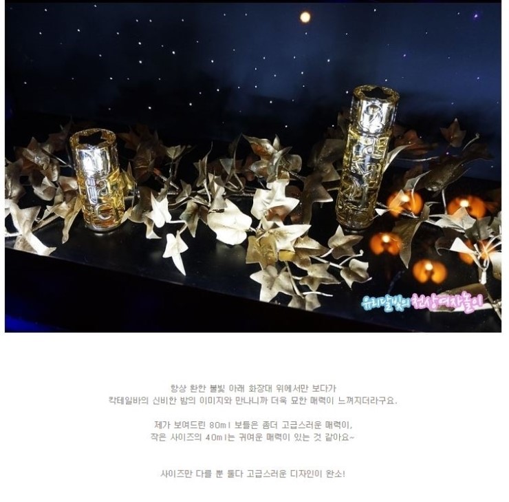 달빛라운지 이미지