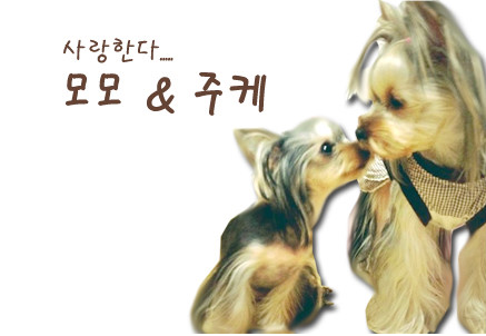 (주)다린 이미지